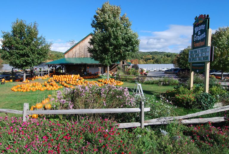 Gilford NH Town Profile and Homes for Sale Roche Realty Group