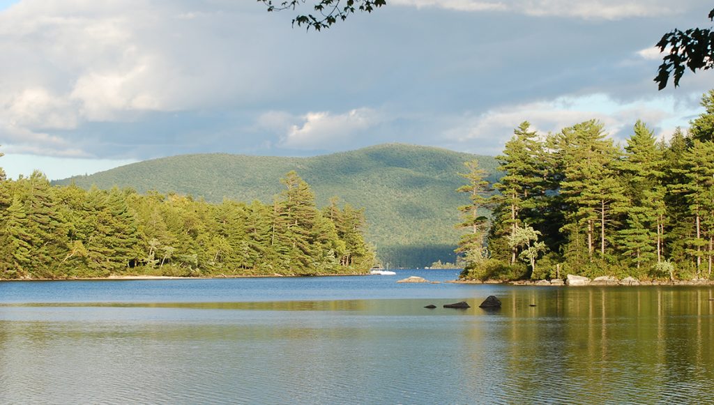 Squam Lake Homes For Sale Roche Realty Group