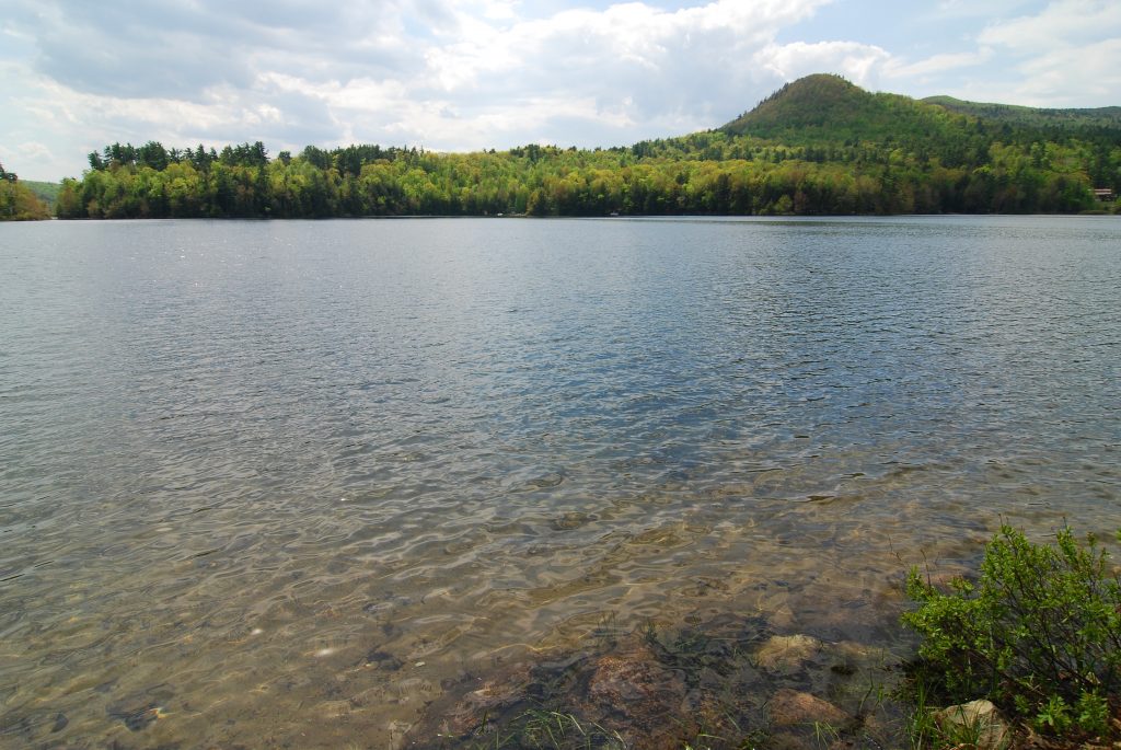 publicbeaches_duncanlake Roche Realty Group