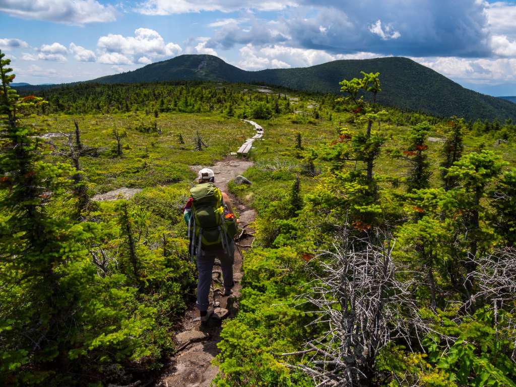Hiker on Appalachian Trail in Maine, Lush Mountain Vista