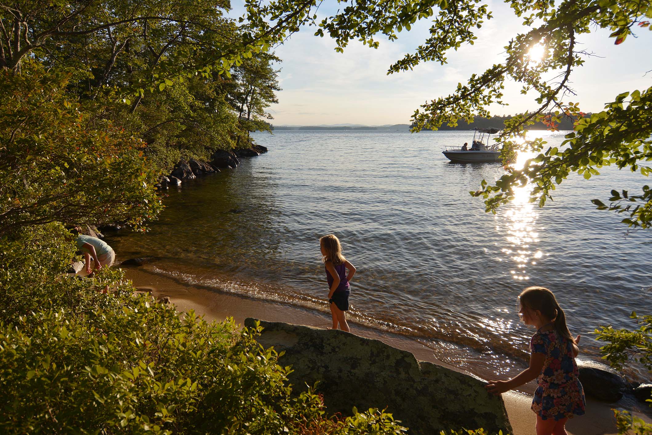 NH Lakes Region Homes for Sale Roche Realty